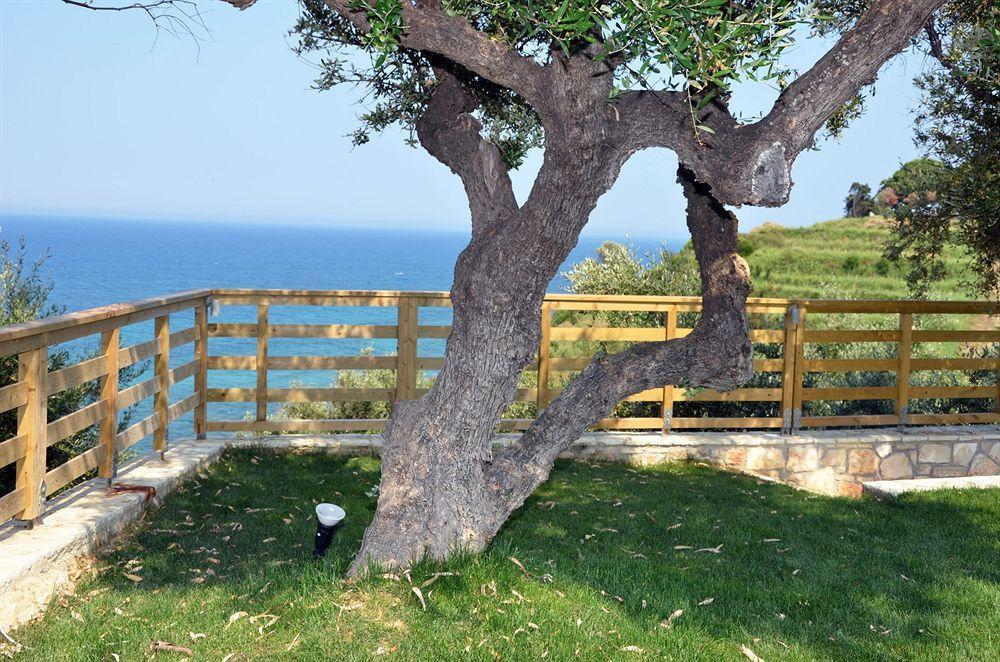 Kymothoe Elite 4* Tsilivi (Zakynthos)